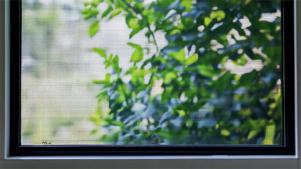 ¡Adiós mosquitos! Descubre la mosquitera ideal para cada tipo de ventana