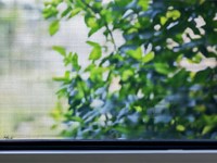 ¡Adiós mosquitos! Descubre la mosquitera ideal para cada tipo de ventana