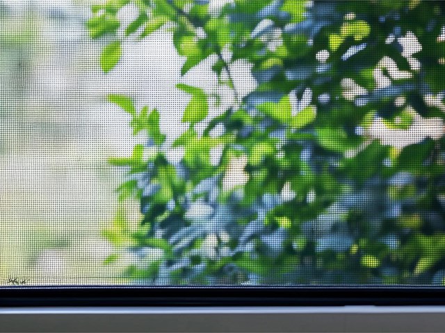 ¡Adiós mosquitos! Descubre la mosquitera ideal para cada tipo de ventana